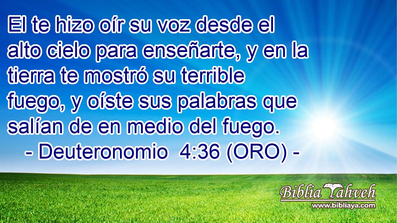  El te hizo oír su voz desde el alto cielo para enseñarte, y en la tierra te mostró su terrible fuego, y oíste sus palabras que salían de en medio del fuego. 