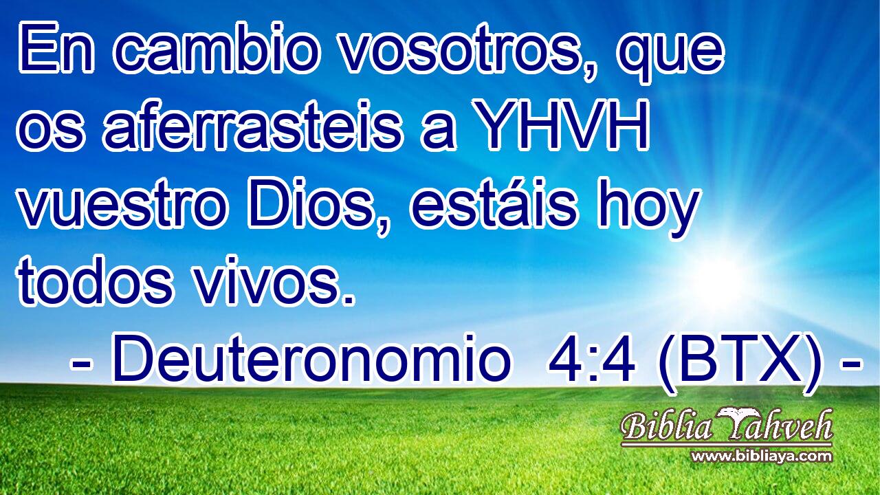 En cambio vosotros, que os aferrasteis a YHVH vuestro Dios, estáis hoy todos vivos.