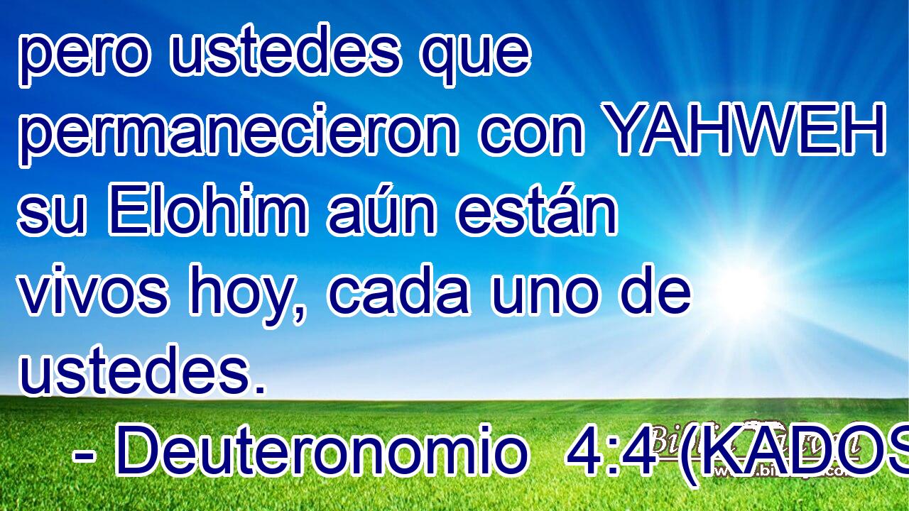  pero ustedes que permanecieron con YAHWEH su Elohim aún están vivos hoy, cada uno de ustedes. 
