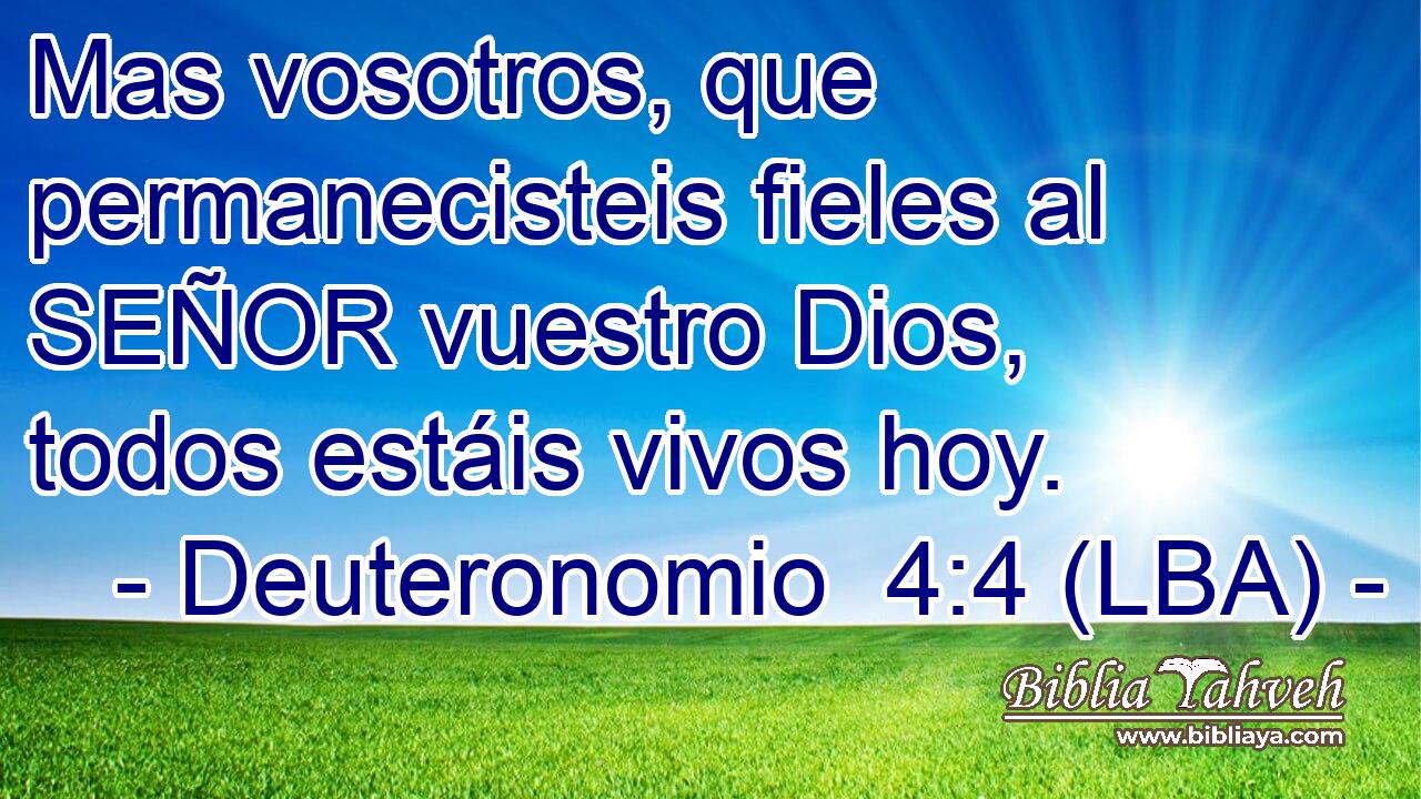 Mas vosotros, que permanecisteis fieles al SEÑOR vuestro Dios, todos estáis vivos hoy.