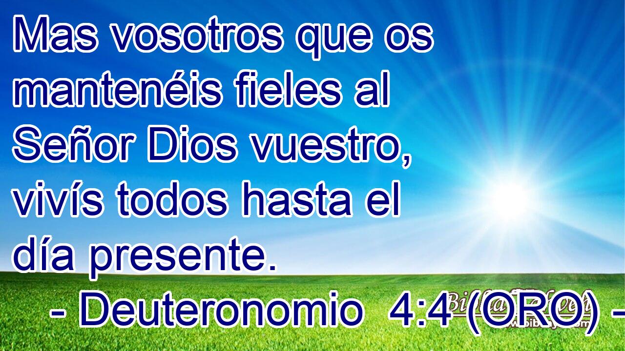  Mas vosotros que os mantenéis fieles al Señor Dios vuestro, vivís todos hasta el día presente. 