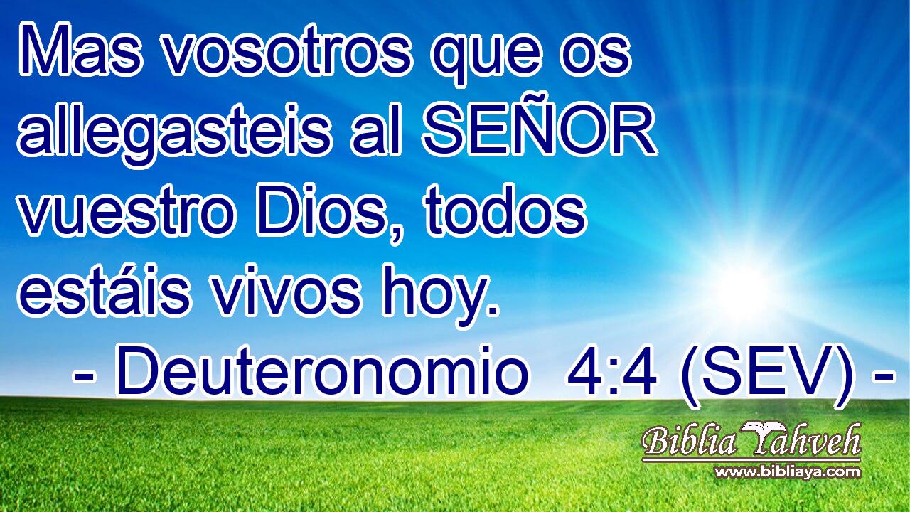 Mas vosotros que os allegasteis al SEÑOR vuestro Dios, todos estáis vivos hoy.