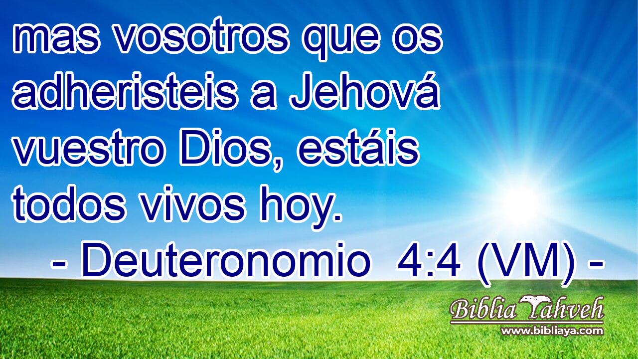 mas vosotros que os adheristeis a Jehová vuestro Dios, estáis todos vivos hoy. 