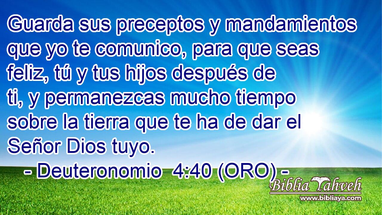  Guarda sus preceptos y mandamientos que yo te comunico, para que seas feliz, tú y tus hijos después de ti, y permanezcas mucho tiempo sobre la tierra que te ha de dar el Señor Dios tuyo. 