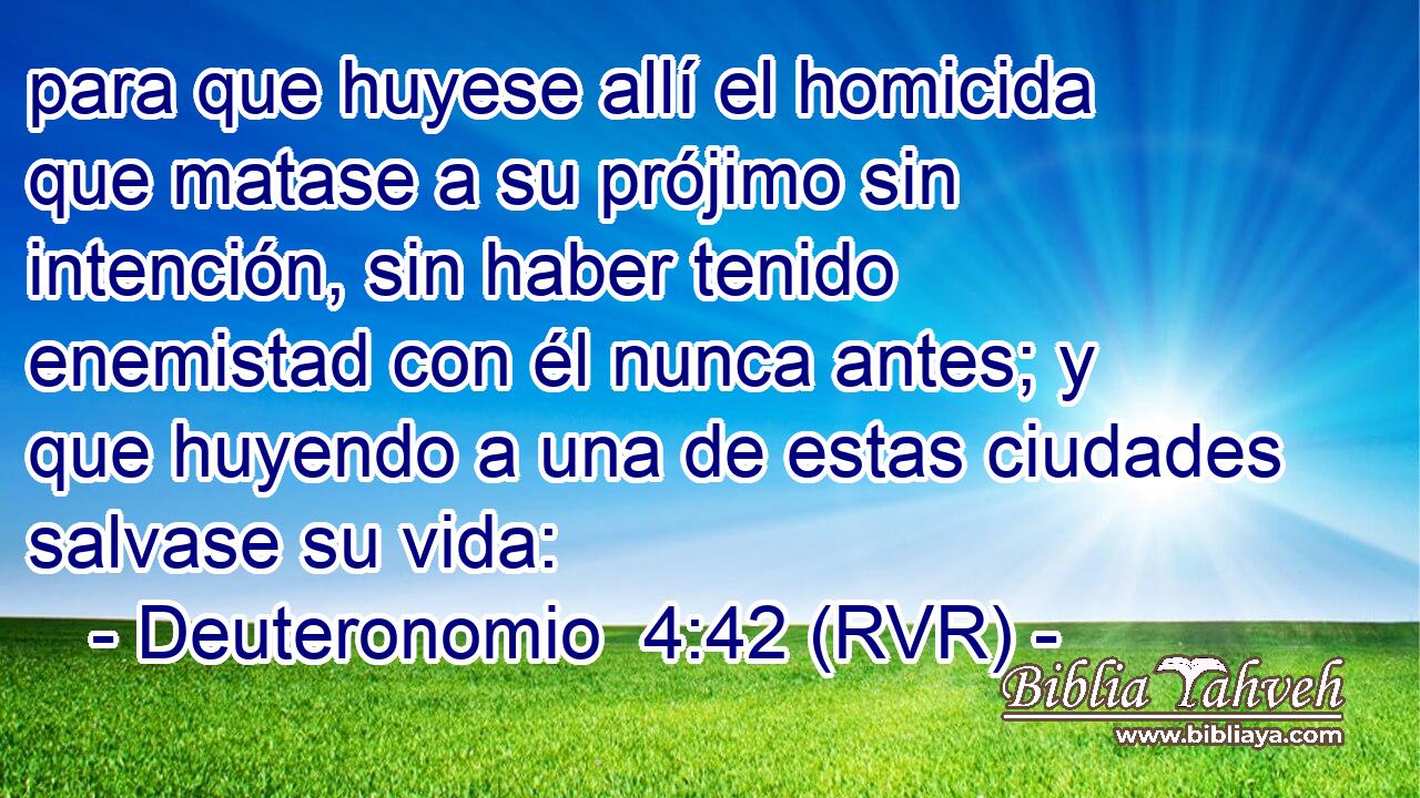 para que huyese allí el homicida que matase a su prójimo sin intención, sin haber tenido enemistad con él nunca antes; y que huyendo a una de estas ciudades salvase su vida:
