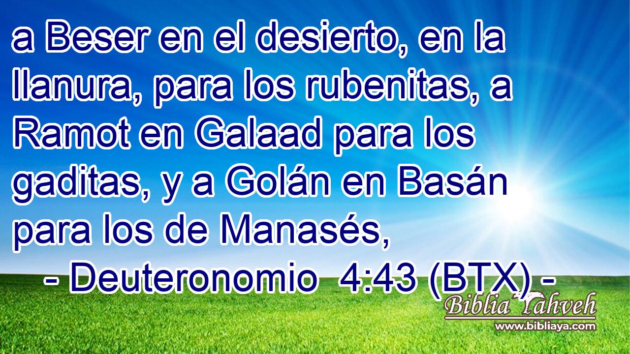 a Beser en el desierto, en la llanura, para los rubenitas, a Ramot en Galaad para los gaditas, y a Golán en Basán para los de Manasés,