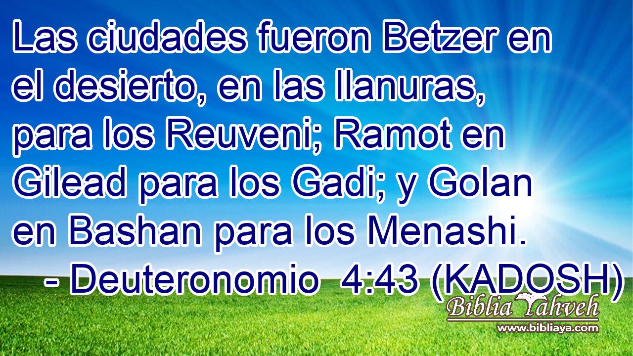  Las ciudades fueron Betzer en el desierto, en las llanuras, para los Reuveni; Ramot en Gilead para los Gadi; y Golan en Bashan para los Menashi. 