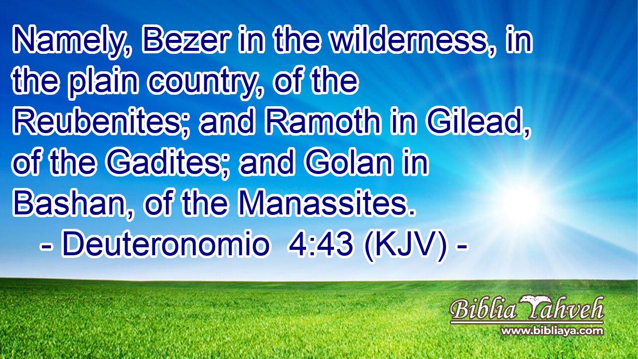 Namely, Bezer in the wilderness, in the plain country, of the Reubenites; and Ramoth in Gilead, of the Gadites; and Golan in Bashan, of the Manassites.