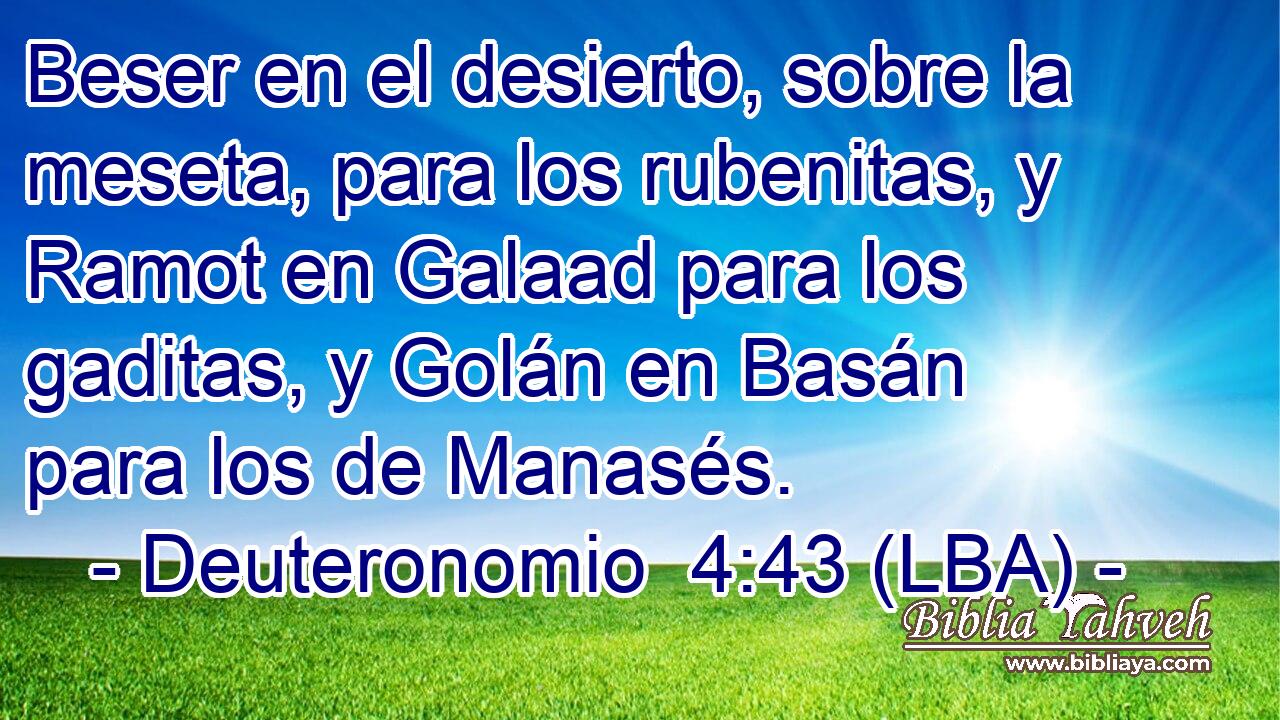 Beser en el desierto, sobre la meseta, para los rubenitas, y Ramot en Galaad para los gaditas, y Golán en Basán para los de Manasés.