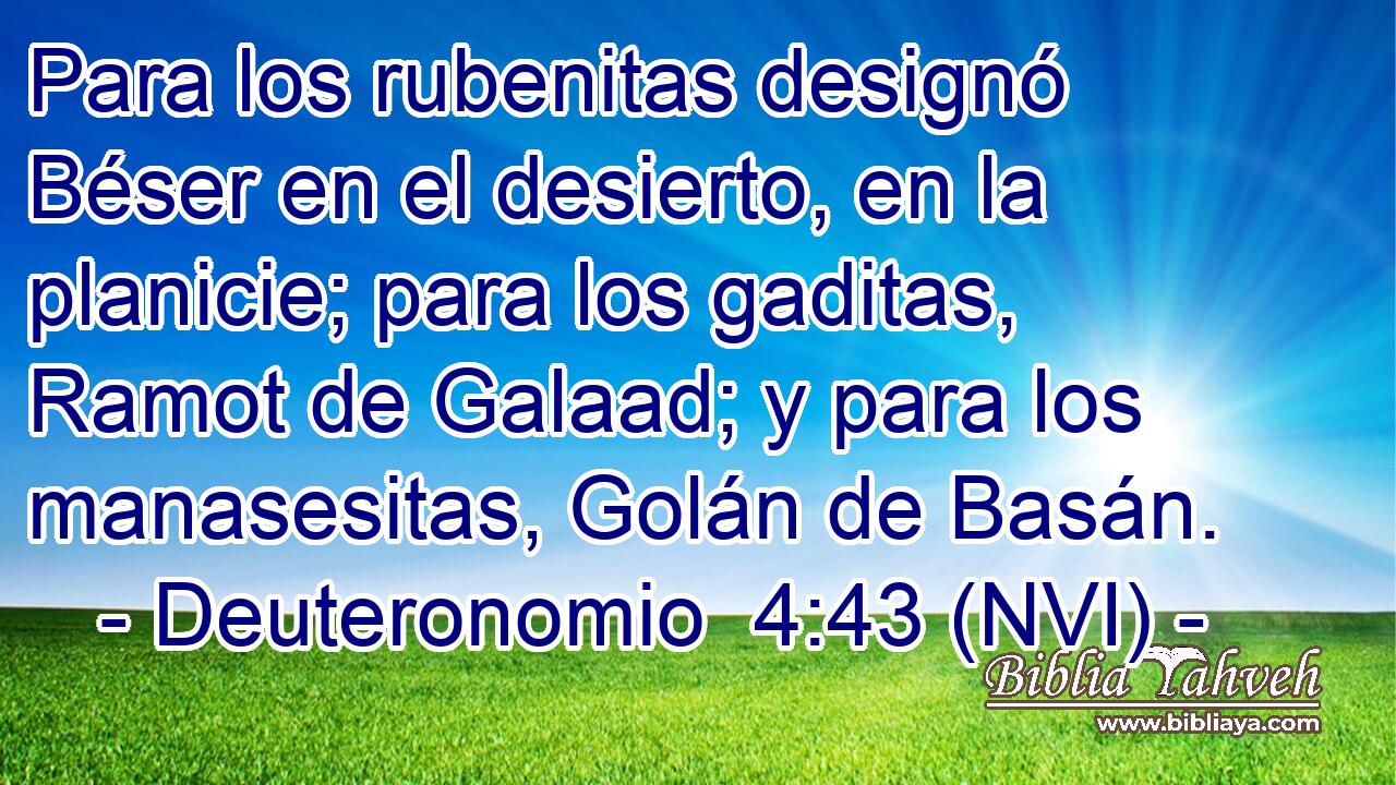  Para los rubenitas designó Béser en el desierto, en la planicie; para los gaditas, Ramot de Galaad; y para los manasesitas, Golán de Basán. 