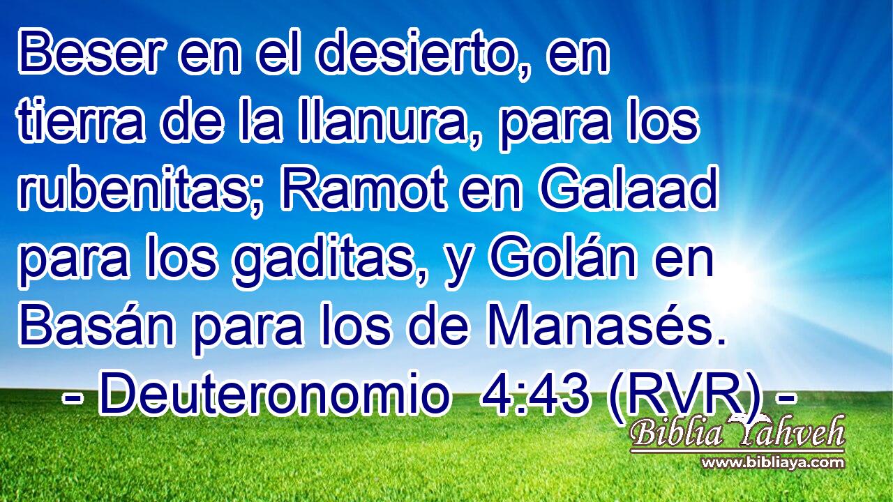Beser en el desierto, en tierra de la llanura, para los rubenitas; Ramot en Galaad para los gaditas, y Golán en Basán para los de Manasés.