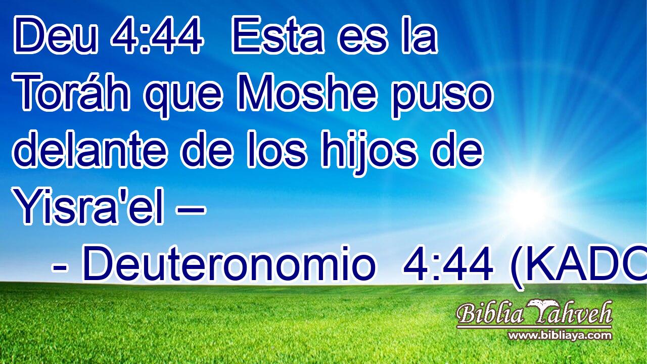  Esta es la Toráh que Moshe puso delante de los hijos de Yisra'el – 