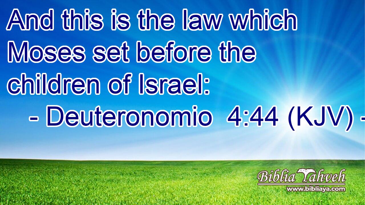 And this is the law which Moses set before the children of Israel: