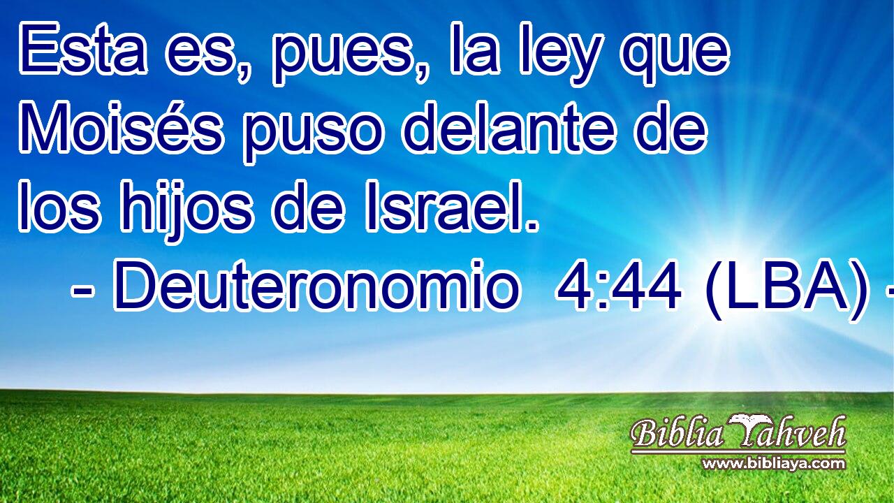 Esta es, pues, la ley que Moisés puso delante de los hijos de Israel.