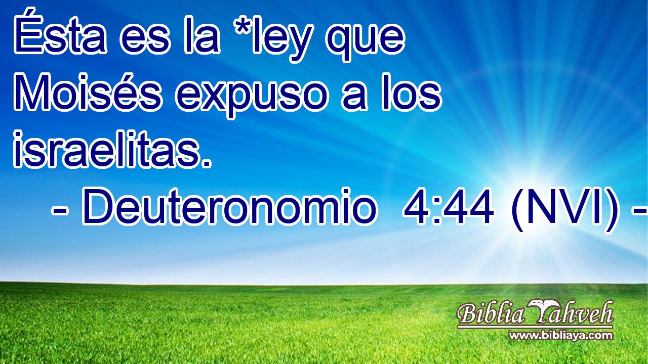  Ésta es la *ley que Moisés expuso a los israelitas. 