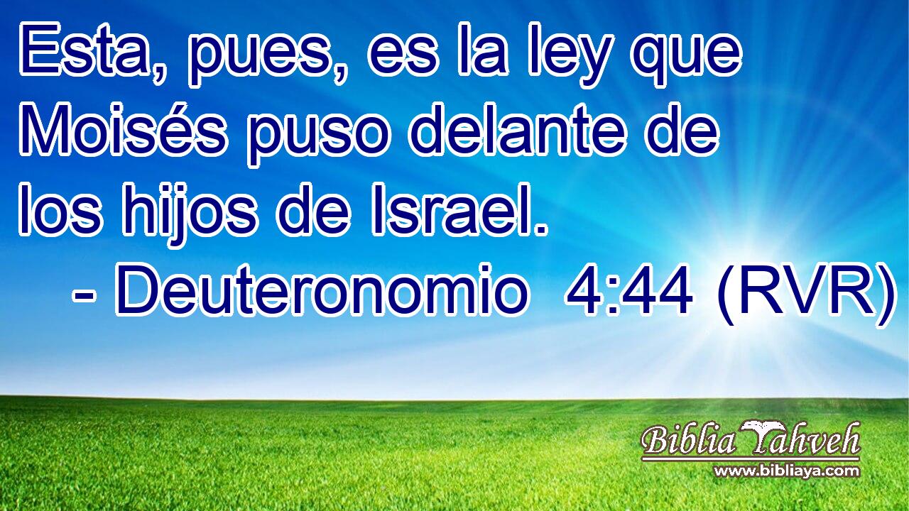 Esta, pues, es la ley que Moisés puso delante de los hijos de Israel.