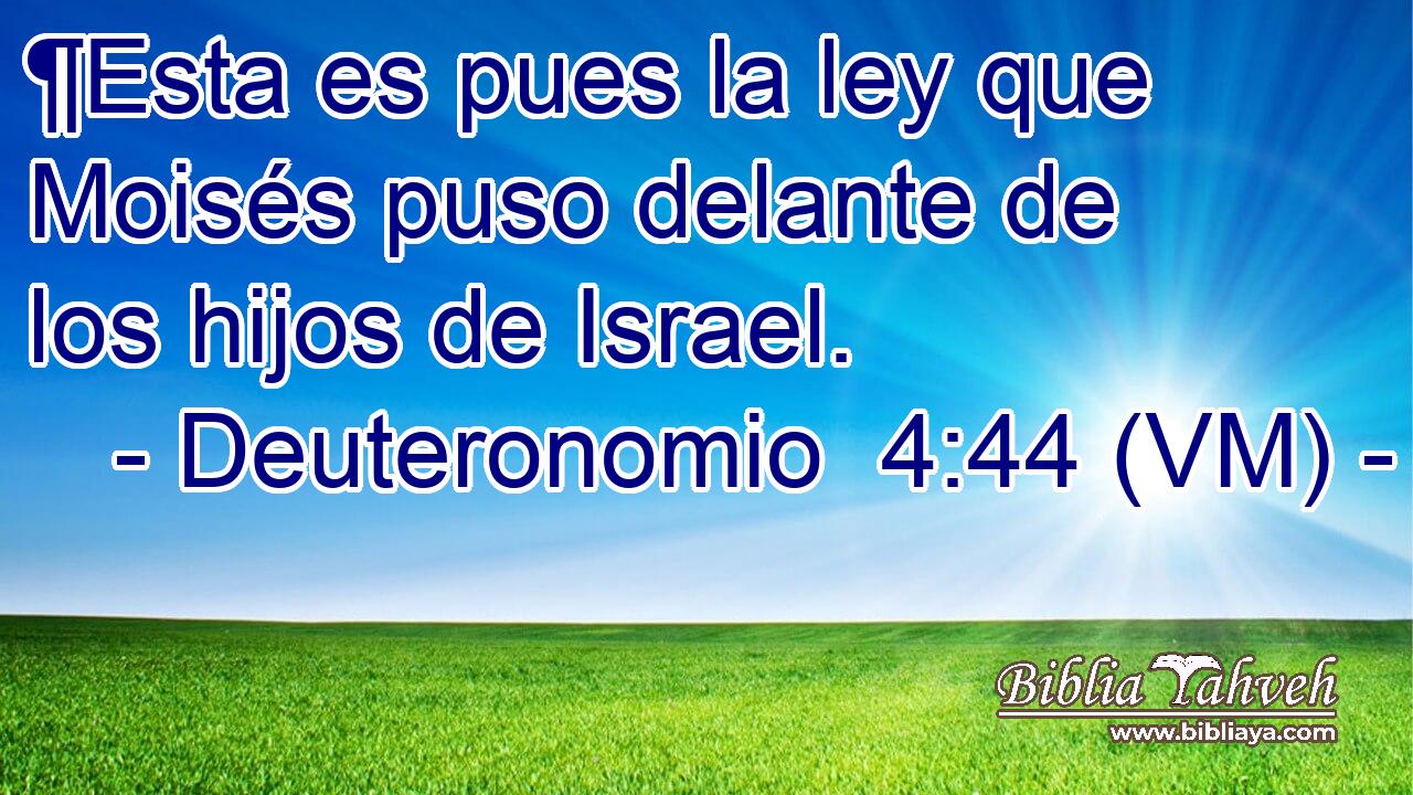  ¶Esta es pues la ley que Moisés puso delante de los hijos de Israel. 
