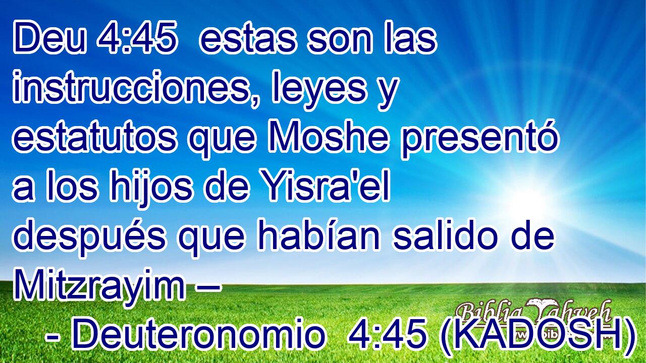  estas son las instrucciones, leyes y estatutos que Moshe presentó a los hijos de Yisra'el después que habían salido de Mitzrayim – 