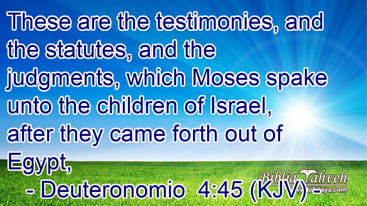These are the testimonies, and the statutes, and the judgments, which Moses spake unto the children of Israel, after they came forth out of Egypt,