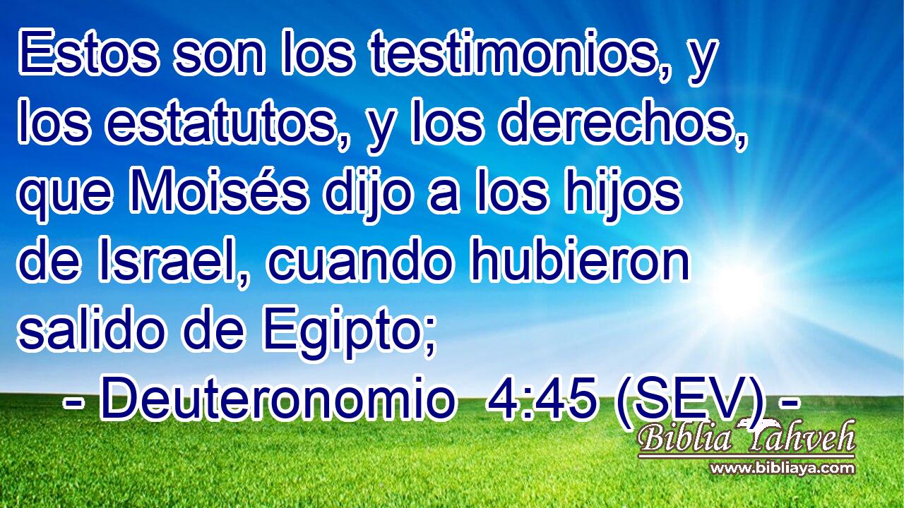 Estos son los testimonios, y los estatutos, y los derechos, que Moisés dijo a los hijos de Israel, cuando hubieron salido de Egipto;