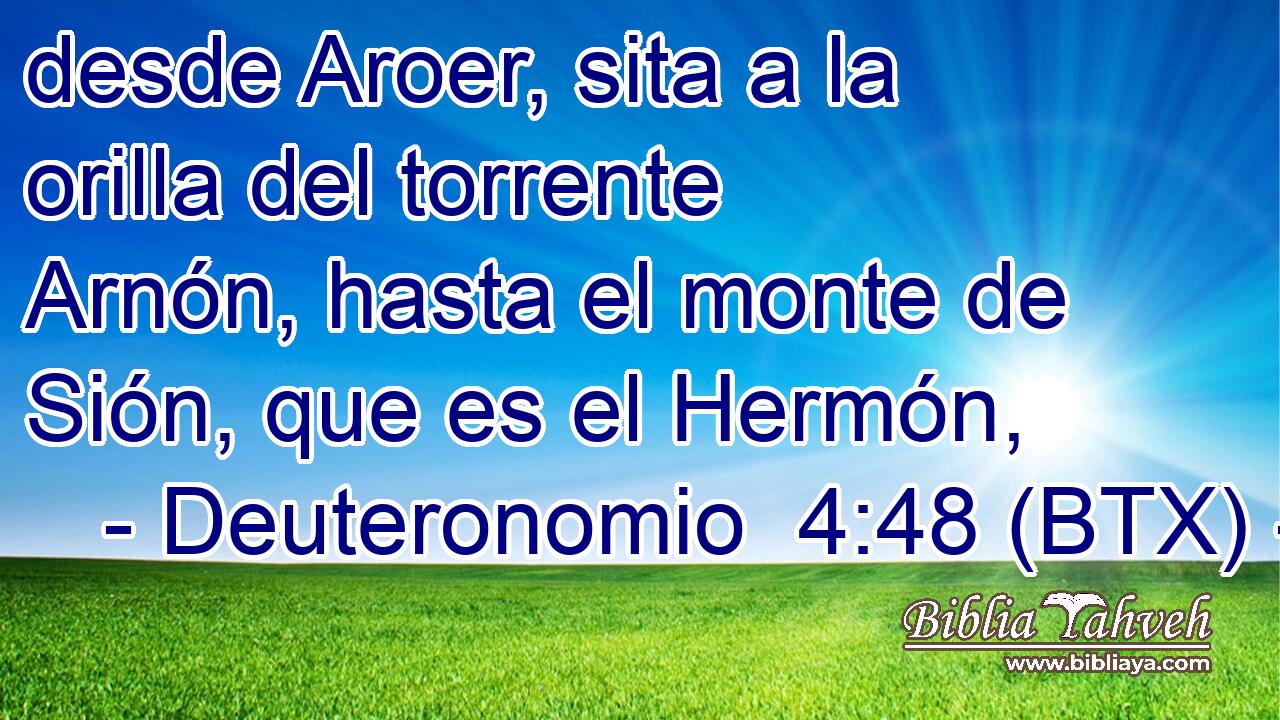 desde Aroer, sita a la orilla del torrente Arnón, hasta el monte de Sión, que es el Hermón,