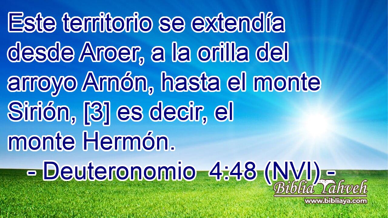  Este territorio se extendía desde Aroer, a la orilla del arroyo Arnón, hasta el monte Sirión, [3] es decir, el monte Hermón. 