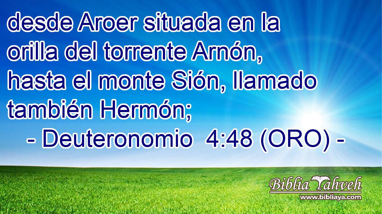  desde Aroer situada en la orilla del torrente Arnón, hasta el monte Sión, llamado también Hermón; 
