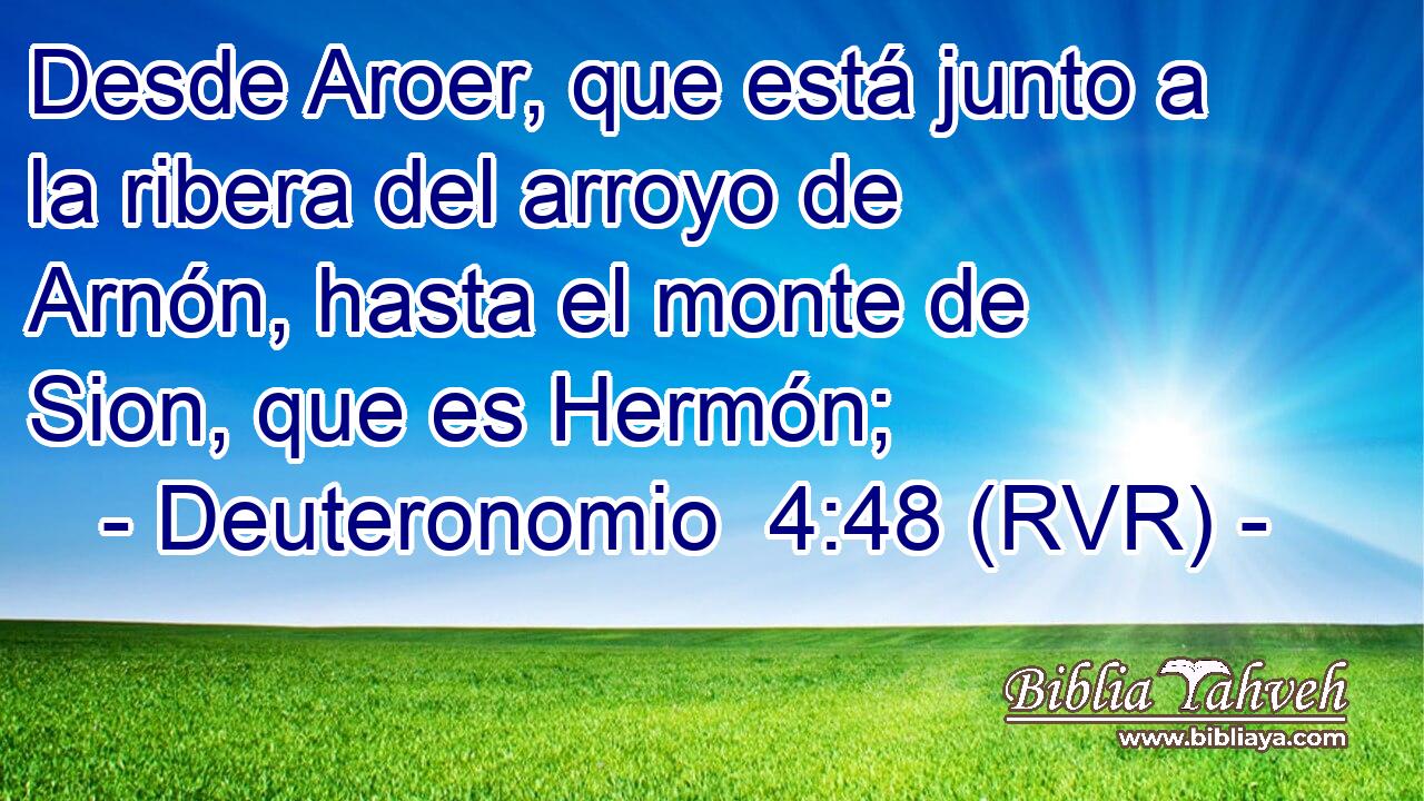 Desde Aroer, que está junto a la ribera del arroyo de Arnón, hasta el monte de Sion, que es Hermón;