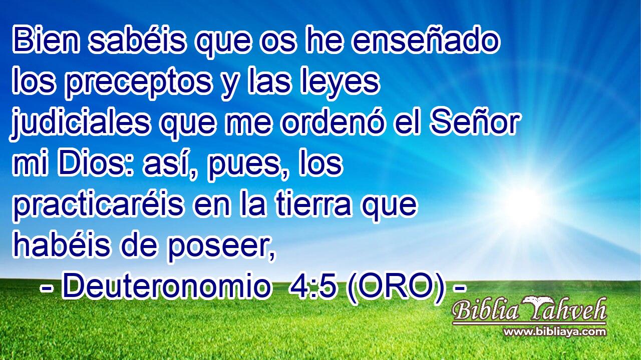  Bien sabéis que os he enseñado los preceptos y las leyes judiciales que me ordenó el Señor mi Dios: así, pues, los practicaréis en la tierra que habéis de poseer, 