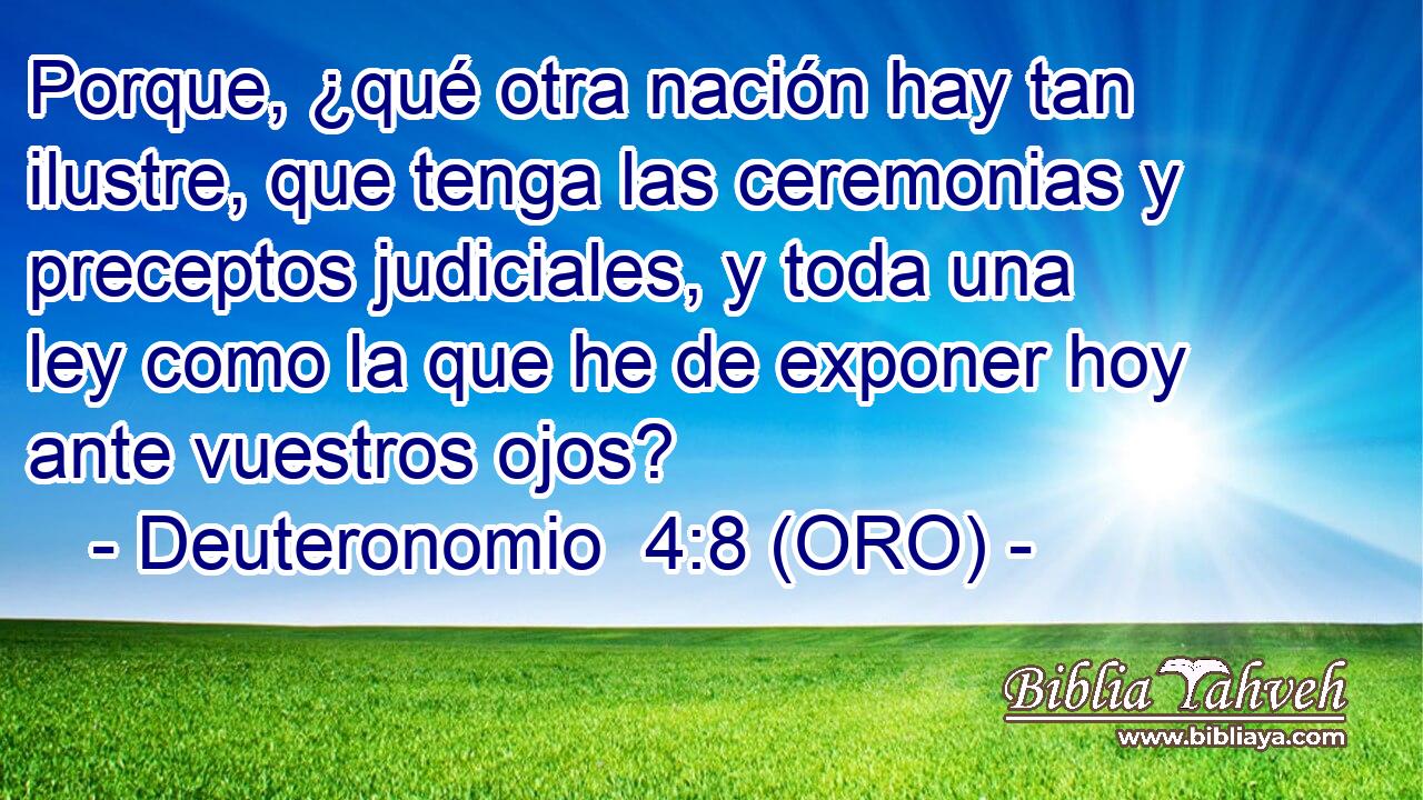  Porque, ¿qué otra nación hay tan ilustre, que tenga las ceremonias y preceptos judiciales, y toda una ley como la que he de exponer hoy ante vuestros ojos? 
