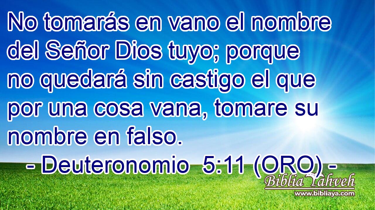  No tomarás en vano el nombre del Señor Dios tuyo; porque no quedará sin castigo el que por una cosa vana, tomare su nombre en falso. 