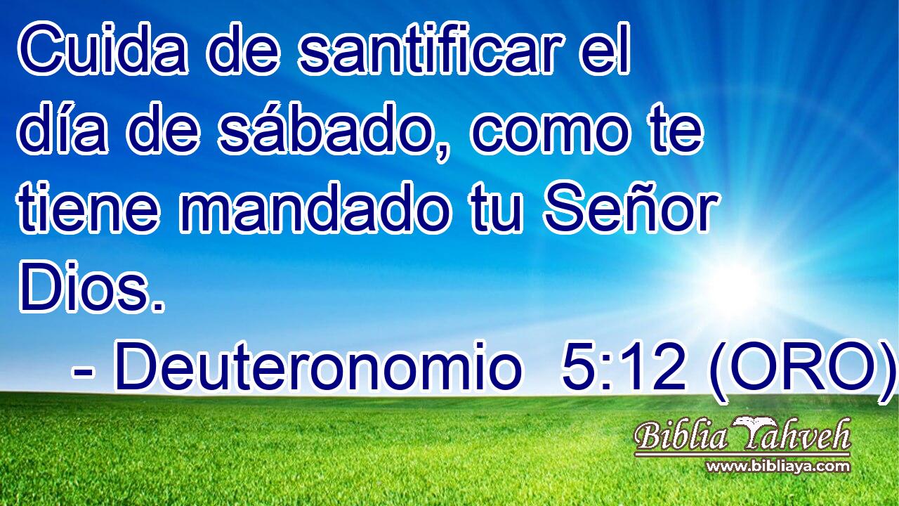  Cuida de santificar el día de sábado, como te tiene mandado tu Señor Dios. 