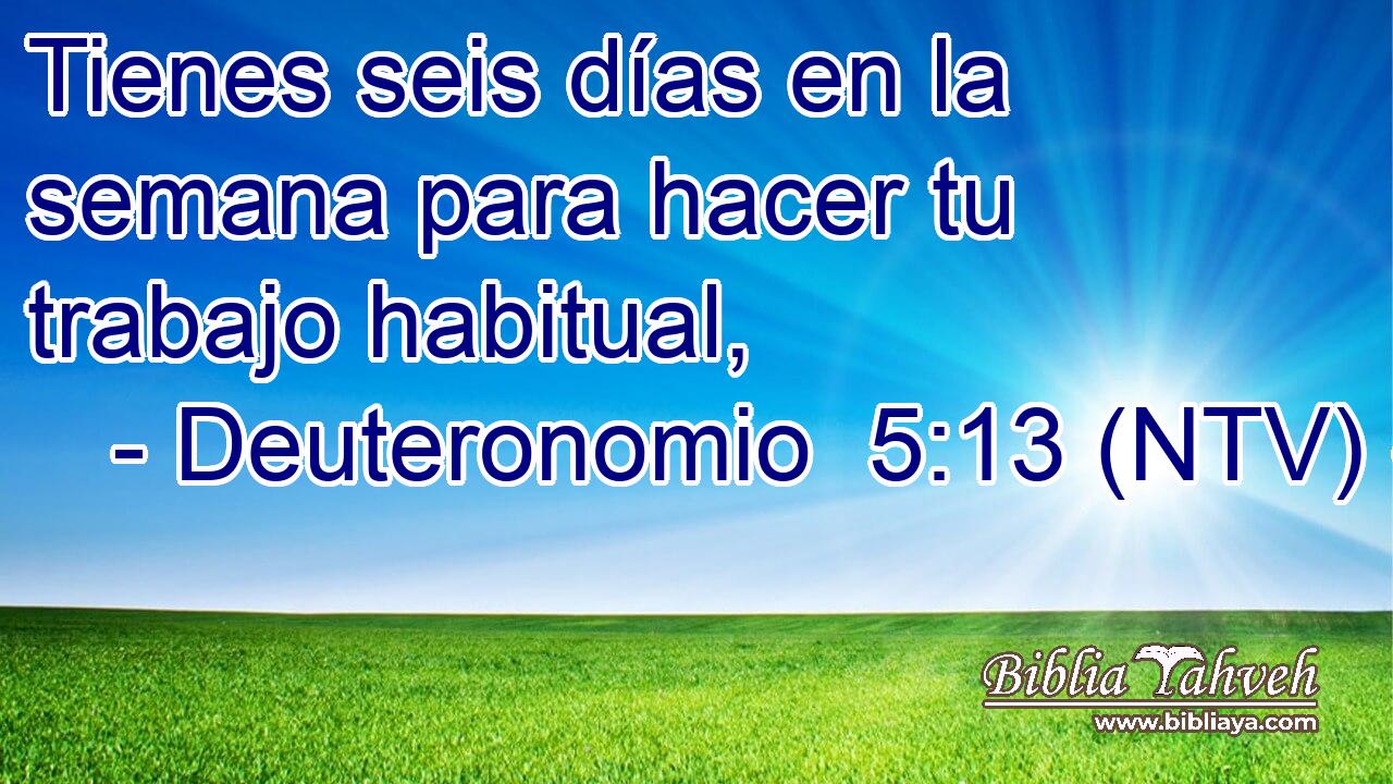 Tienes seis días en la semana para hacer tu trabajo habitual,