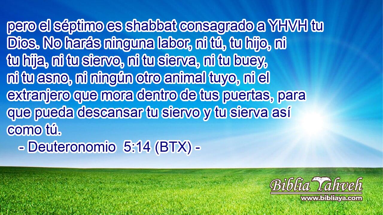 pero el séptimo es shabbat consagrado a YHVH tu Dios. No harás ninguna labor, ni tú, tu hijo, ni tu hija, ni tu siervo, ni tu sierva, ni tu buey, ni tu asno, ni ningún otro animal tuyo, ni el extranjero que mora dentro de tus puertas, para que pueda descansar tu siervo y tu sierva así como tú.