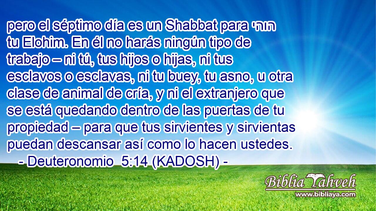 pero el séptimo día es un Shabbat para יהוה tu Elohim. En él no harás ningún tipo de trabajo – ni tú, tus hijos o hijas, ni tus esclavos o esclavas, ni tu buey, tu asno, u otra clase de animal de cría, y ni el extranjero que se está quedando dentro de las puertas de tu propiedad – para que tus sirvientes y sirvientas puedan descansar así como lo hacen ustedes. 