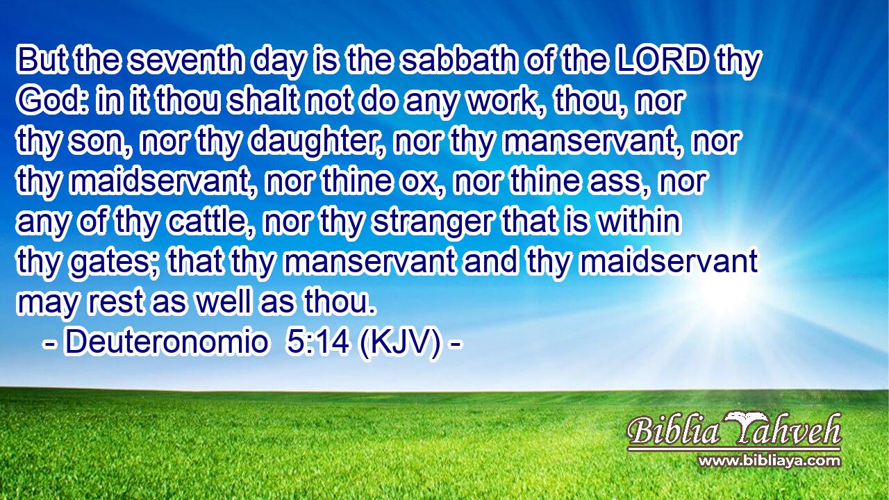 But the seventh day is the sabbath of the LORD thy God: in it thou shalt not do any work, thou, nor thy son, nor thy daughter, nor thy manservant, nor thy maidservant, nor thine ox, nor thine ass, nor any of thy cattle, nor thy stranger that is within thy gates; that thy manservant and thy maidservant may rest as well as thou.