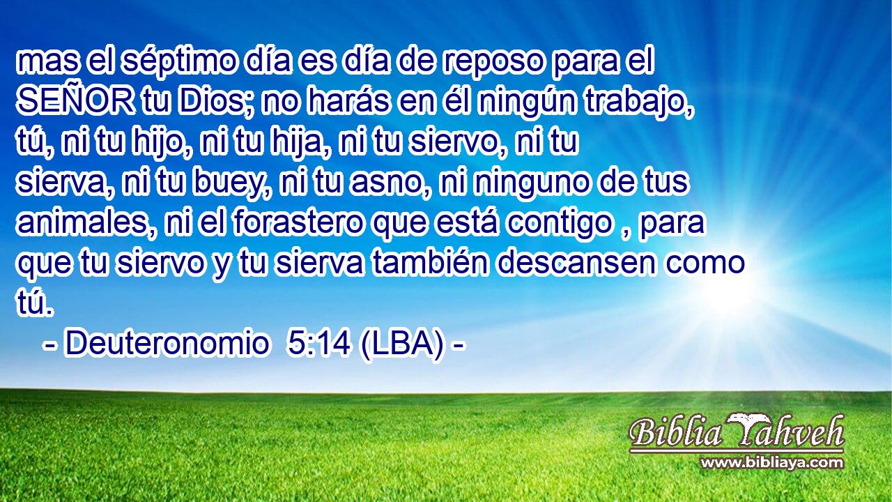 mas el séptimo día es día de reposo para el SEÑOR tu Dios; no harás en él ningún trabajo, tú, ni tu hijo, ni tu hija, ni tu siervo, ni tu sierva, ni tu buey, ni tu asno, ni ninguno de tus animales, ni el forastero que está contigo , para que tu siervo y tu sierva también descansen como tú.