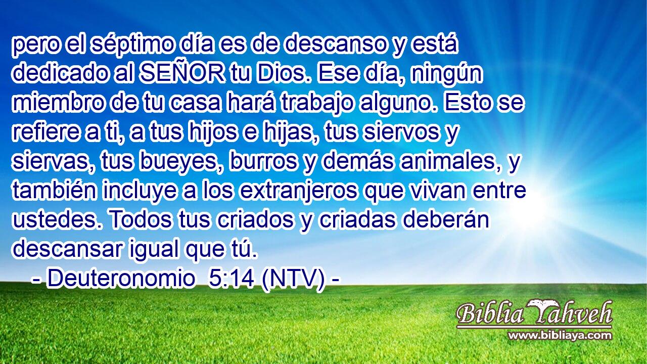 pero el séptimo día es de descanso y está dedicado al SEÑOR tu Dios. Ese día, ningún miembro de tu casa hará trabajo alguno. Esto se refiere a ti, a tus hijos e hijas, tus siervos y siervas, tus bueyes, burros y demás animales, y también incluye a los extranjeros que vivan entre ustedes. Todos tus criados y criadas deberán descansar igual que tú.