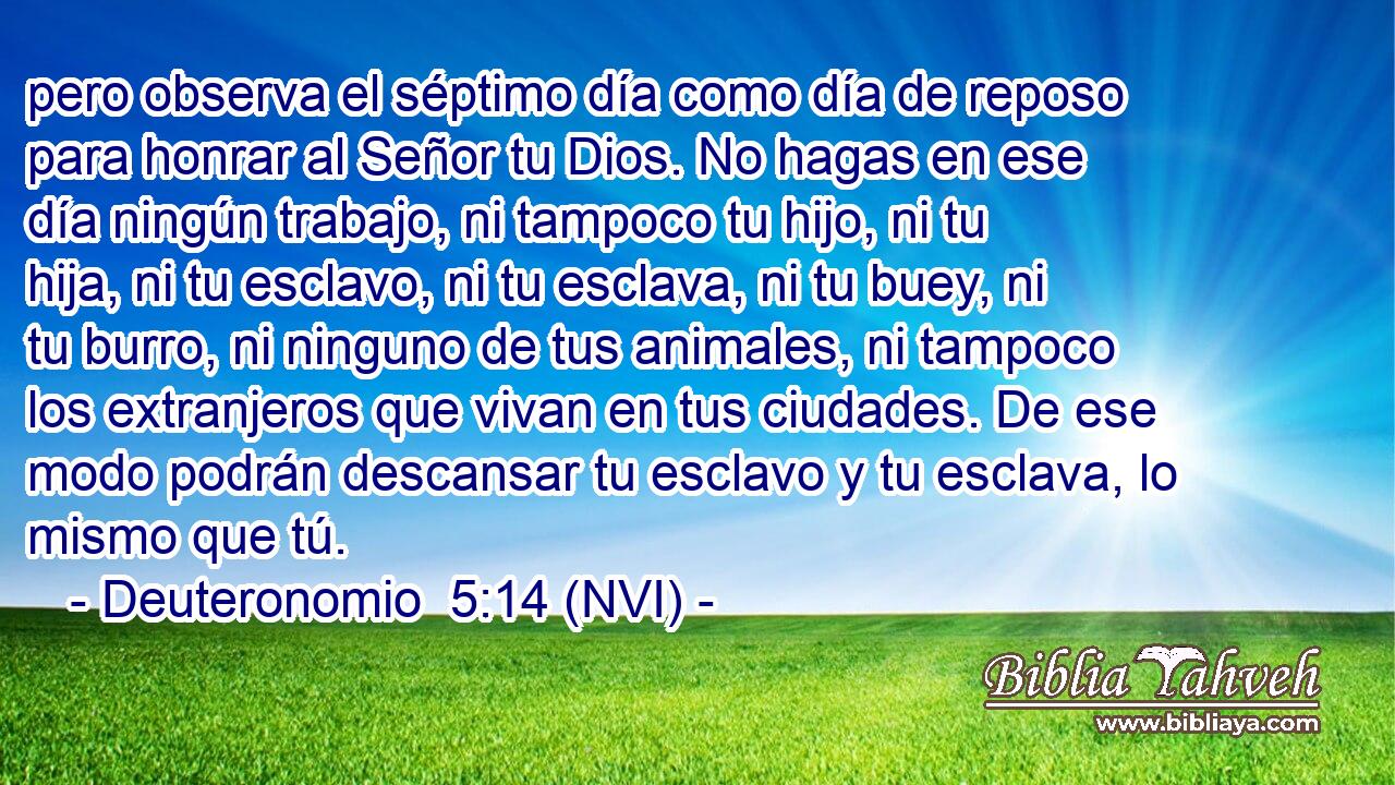  pero observa el séptimo día como día de reposo para honrar al Señor tu Dios. No hagas en ese día ningún trabajo, ni tampoco tu hijo, ni tu hija, ni tu esclavo, ni tu esclava, ni tu buey, ni tu burro, ni ninguno de tus animales, ni tampoco los extranjeros que vivan en tus ciudades. De ese modo podrán descansar tu esclavo y tu esclava, lo mismo que tú. 