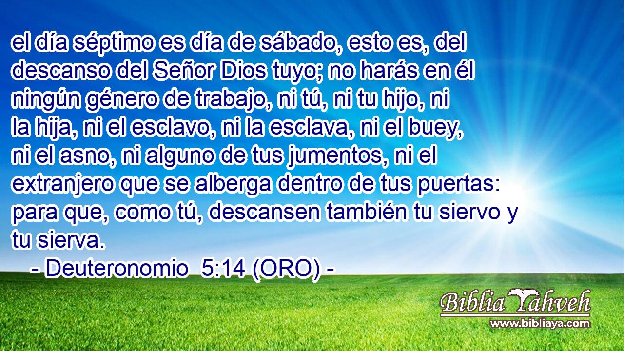  el día séptimo es día de sábado, esto es, del descanso del Señor Dios tuyo; no harás en él ningún género de trabajo, ni tú, ni tu hijo, ni la hija, ni el esclavo, ni la esclava, ni el buey, ni el asno, ni alguno de tus jumentos, ni el extranjero que se alberga dentro de tus puertas: para que, como tú, descansen también tu siervo y tu sierva. 