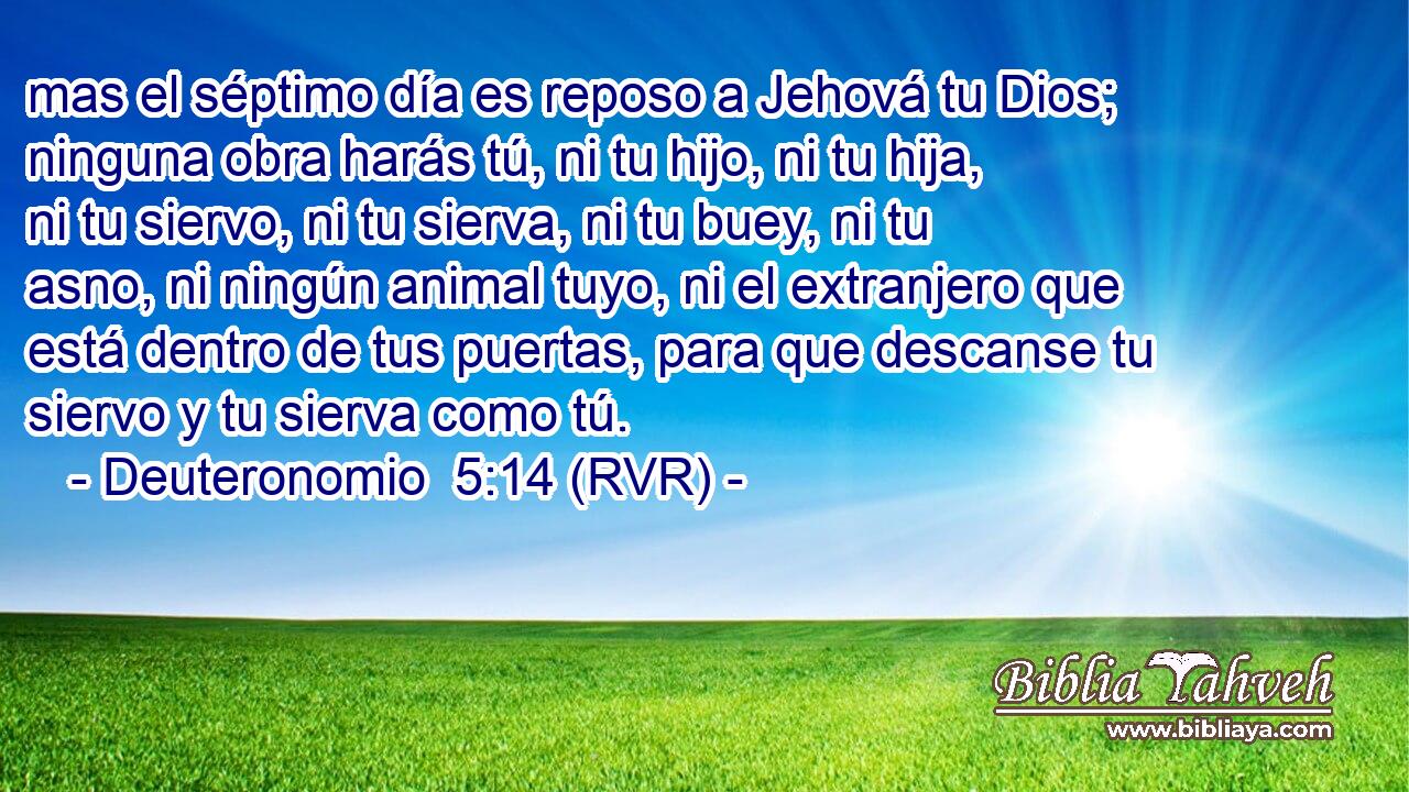 mas el séptimo día es reposo a Jehová tu Dios; ninguna obra harás tú, ni tu hijo, ni tu hija, ni tu siervo, ni tu sierva, ni tu buey, ni tu asno, ni ningún animal tuyo, ni el extranjero que está dentro de tus puertas, para que descanse tu siervo y tu sierva como tú.