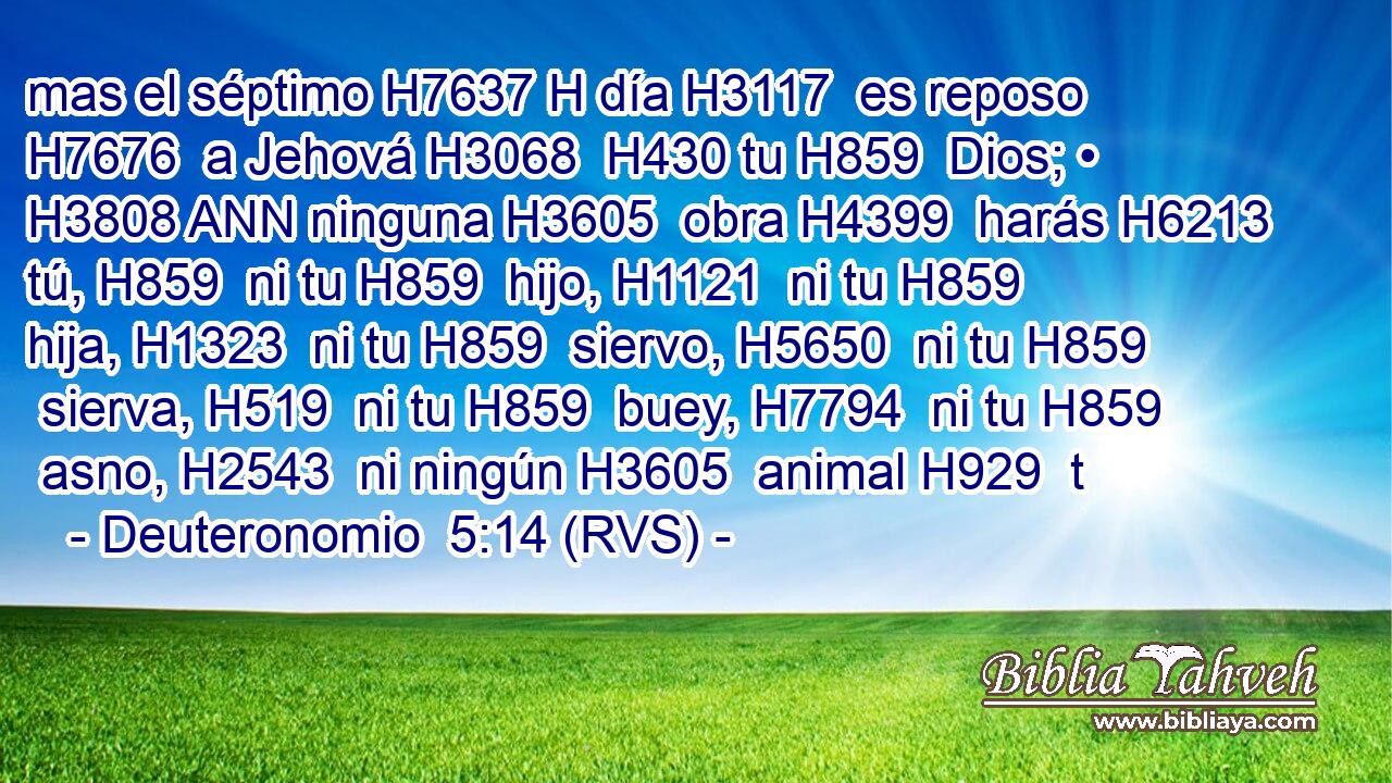 mas el séptimo H7637 H día H3117  es reposo H7676  a Jehová H3068  H430 tu H859  Dios; • H3808 ANN ninguna H3605  obra H4399  harás H6213  tú, H859  ni tu H859  hijo, H1121  ni tu H859  hija, H1323  ni tu H859  siervo, H5650  ni tu H859  sierva, H519  ni tu H859  buey, H7794  ni tu H859  asno, H2543  ni ningún H3605  animal H929  t