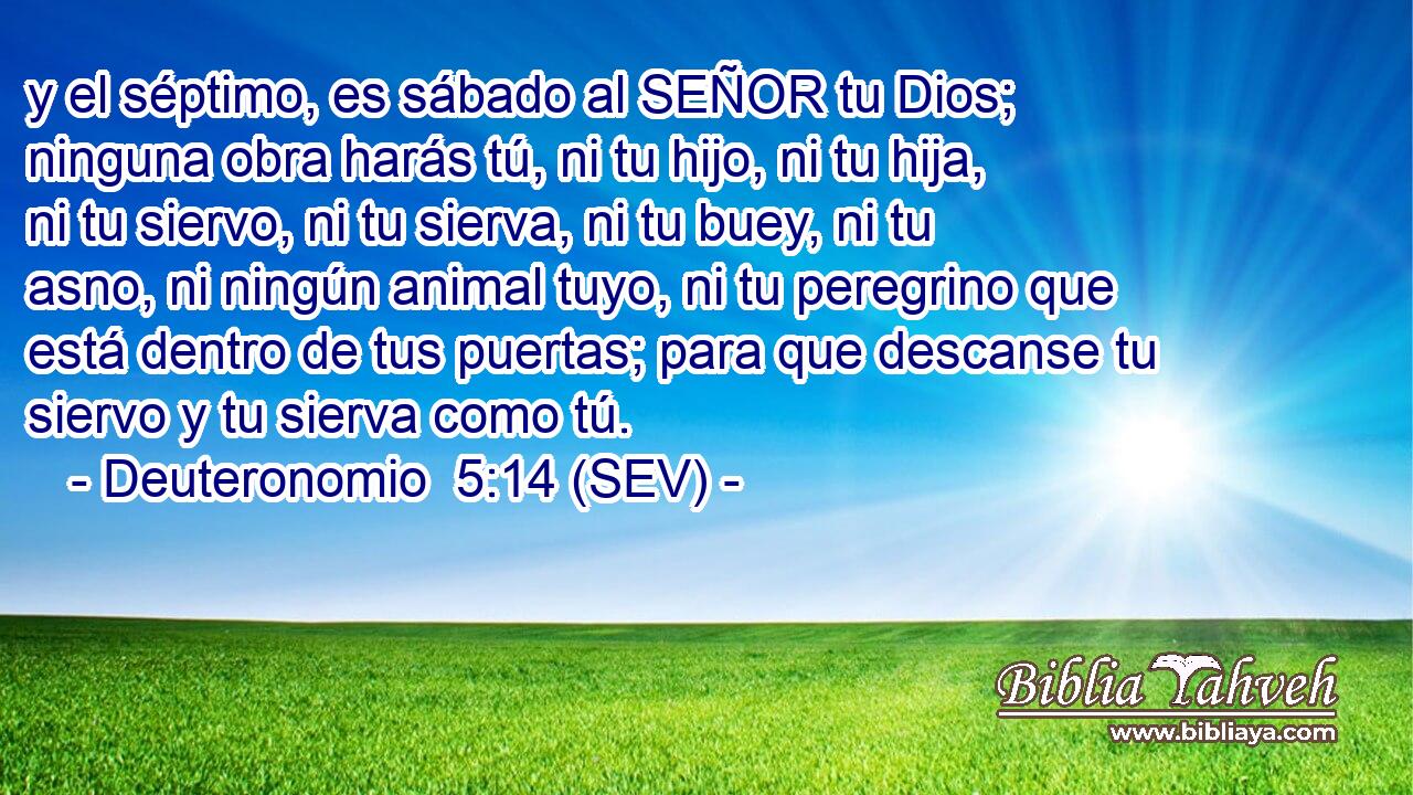 y el séptimo, es sábado al SEÑOR tu Dios; ninguna obra harás tú, ni tu hijo, ni tu hija, ni tu siervo, ni tu sierva, ni tu buey, ni tu asno, ni ningún animal tuyo, ni tu peregrino que está dentro de tus puertas; para que descanse tu siervo y tu sierva como tú.