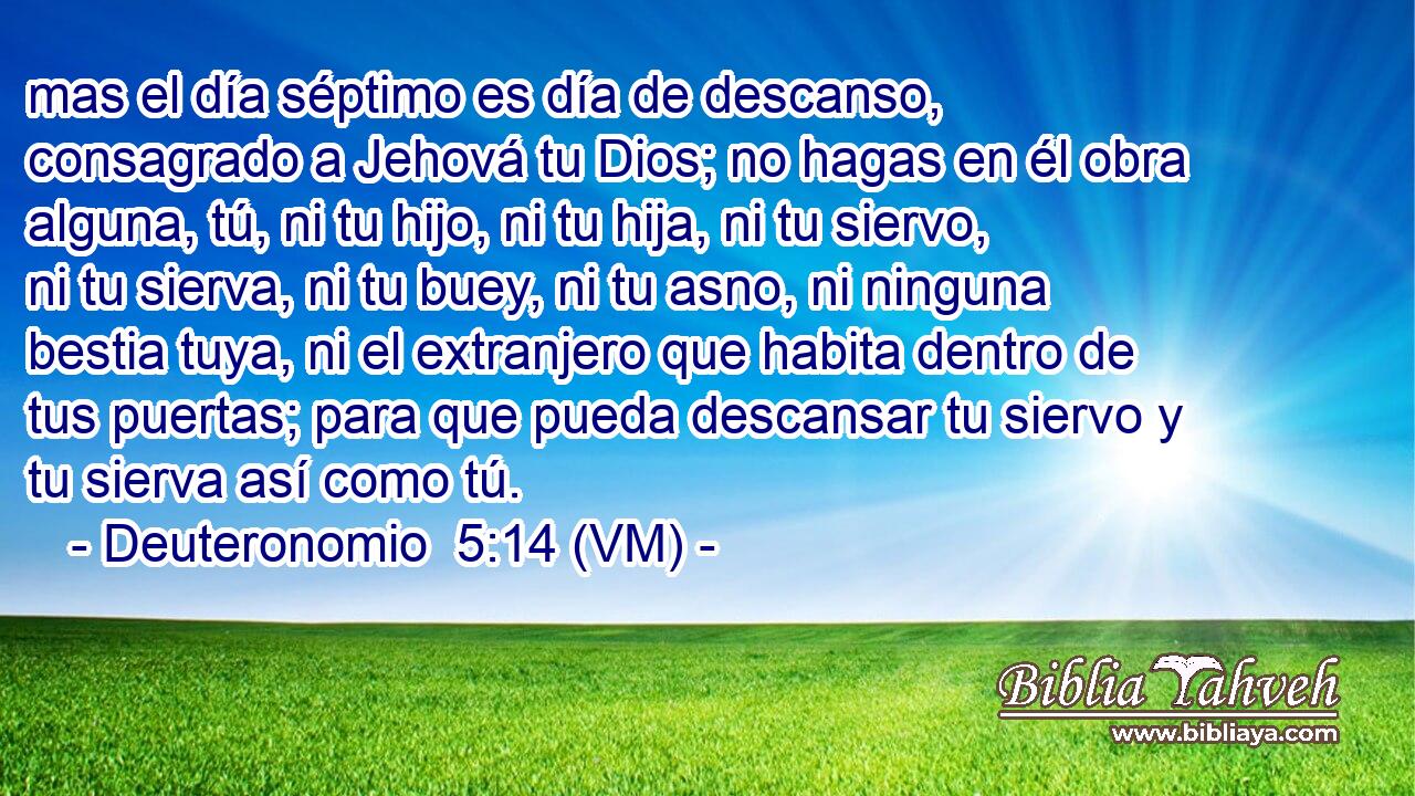  mas el día séptimo es día de descanso, consagrado a Jehová tu Dios; no hagas en él obra alguna, tú, ni tu hijo, ni tu hija, ni tu siervo, ni tu sierva, ni tu buey, ni tu asno, ni ninguna bestia tuya, ni el extranjero que habita dentro de tus puertas; para que pueda descansar tu siervo y tu sierva así como tú. 