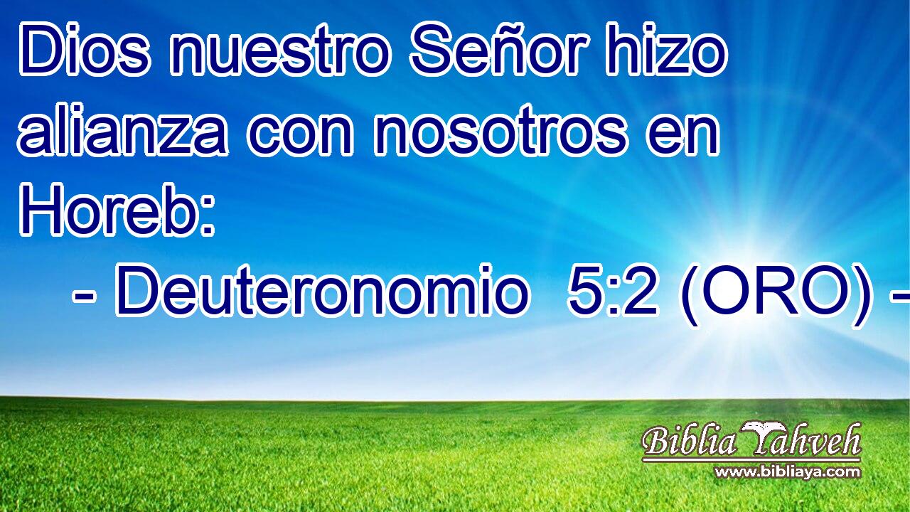  Dios nuestro Señor hizo alianza con nosotros en Horeb: 