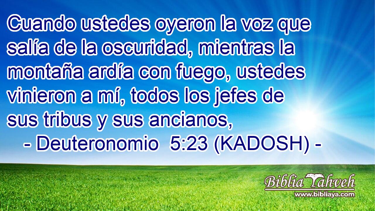  Cuando ustedes oyeron la voz que salía de la oscuridad, mientras la montaña ardía con fuego, ustedes vinieron a mí, todos los jefes de sus tribus y sus ancianos, 