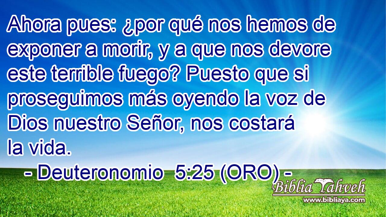  Ahora pues: ¿por qué nos hemos de exponer a morir, y a que nos devore este terrible fuego? Puesto que si proseguimos más oyendo la voz de Dios nuestro Señor, nos costará la vida. 