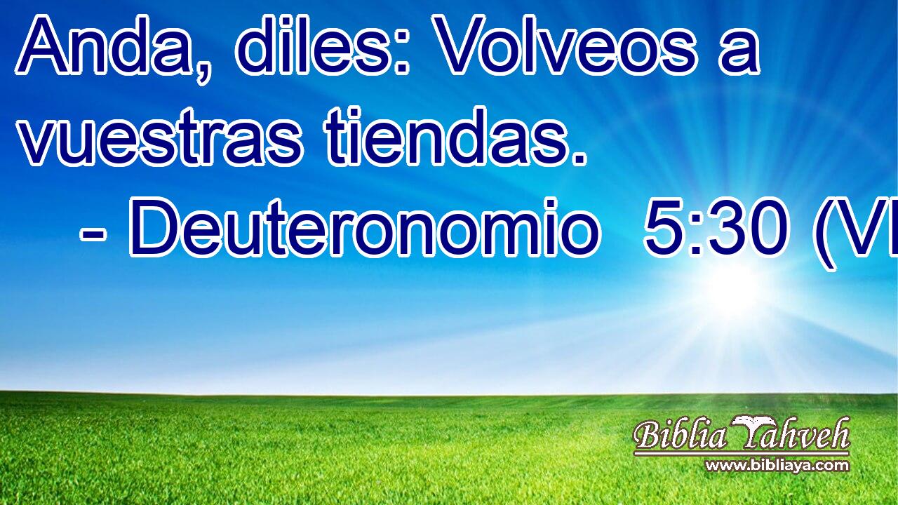  Anda, diles: Volveos a vuestras tiendas. 