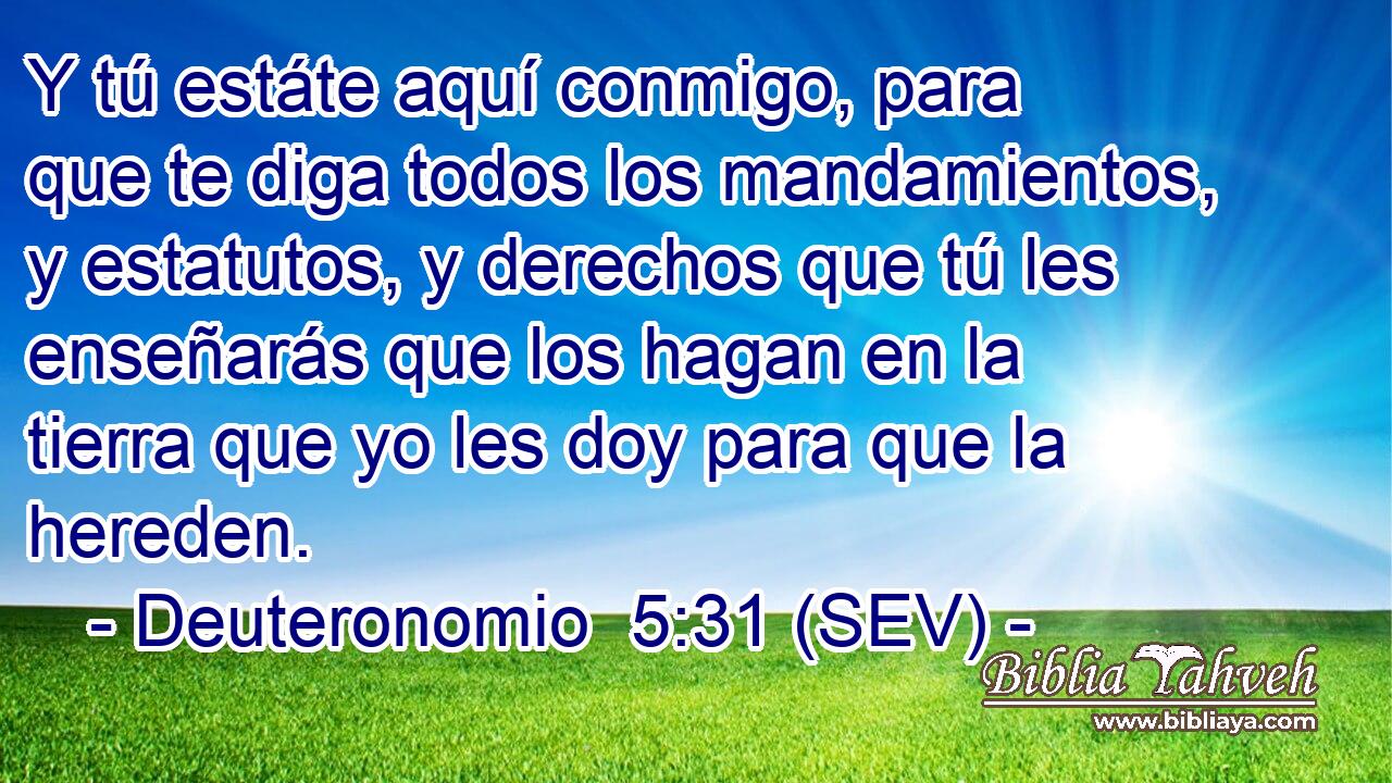 Y tú estáte aquí conmigo, para que te diga todos los mandamientos, y estatutos, y derechos que tú les enseñarás que los hagan en la tierra que yo les doy para que la hereden.
