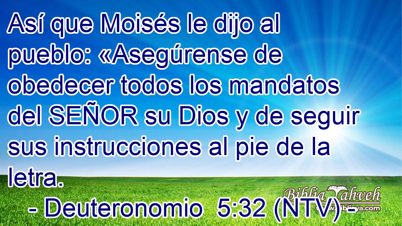 Así que Moisés le dijo al pueblo: «Asegúrense de obedecer todos los mandatos del SEÑOR su Dios y de seguir sus instrucciones al pie de la letra.